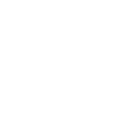 Esperienza e  professionalit&agrave;<br><br>